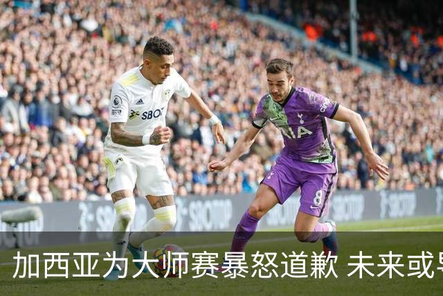 加西亚为大师赛暴怒道歉 未来或导致资格取消