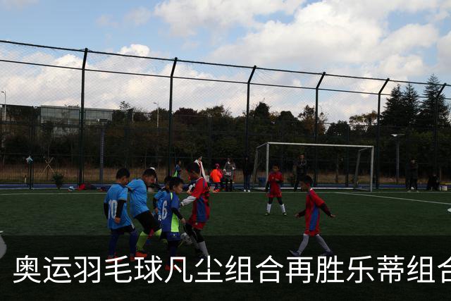 奥运羽毛球凡尘组合再胜乐蒂组合 闯进女双决赛